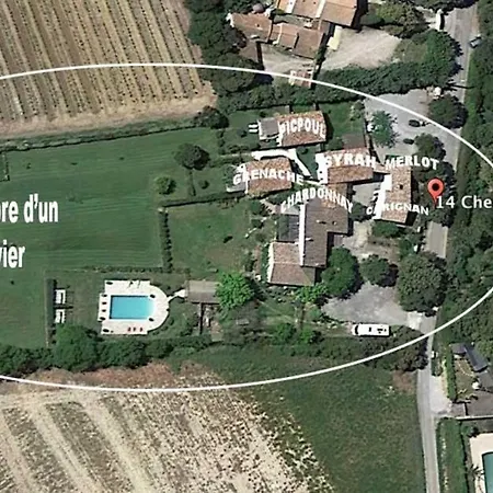 A L'ombre D'un Olivier Gite Syrah